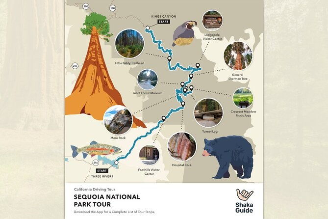 shaka-guide-sequoia-national-park-audio-tour-guide