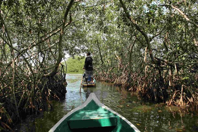 shared-cartagena-mud-volcano-mangrove-tour-including-lunch