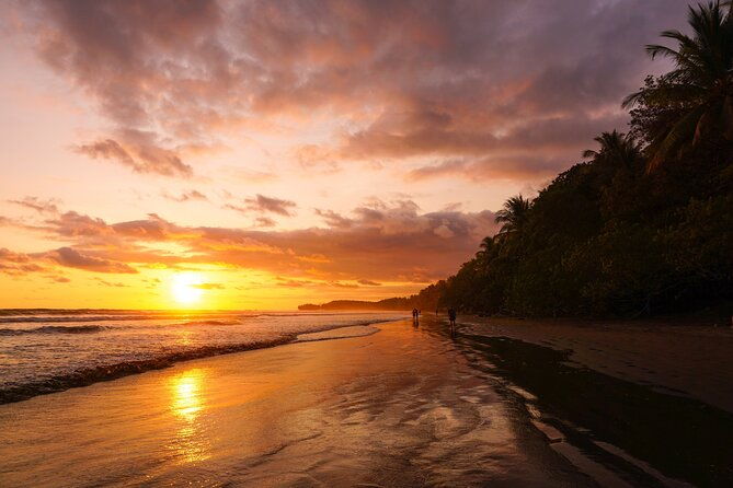 shared-shuttle-san-jose-to-tamarindo
