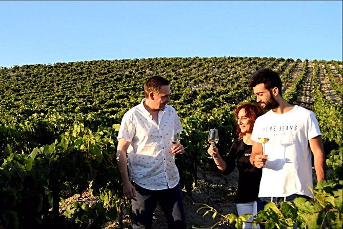 sherry-experience-in-the-vineyard