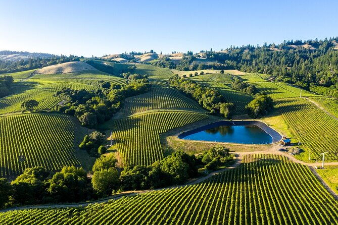 shore-excursion-in-sfo-enchanted-napa-sonoma-wine-tour-in-suv