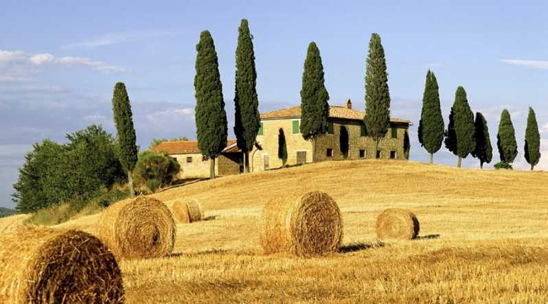 shore-trip-from-la-spezia-pisaluccalunch-tasting-winery