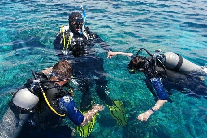 side-scuba-diving-adventure-with-lunch-roundtrip-transfer