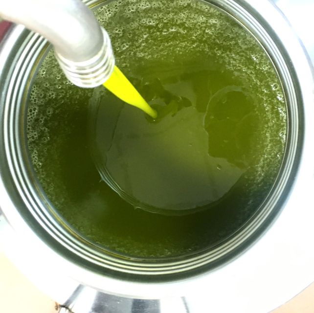 siena-evo-oil-experience-with-walk-tasting-and-lunch
