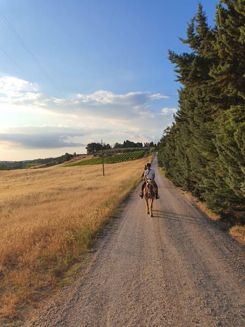 siena-horseback-riding-tour-in-the-tuscany-countryside