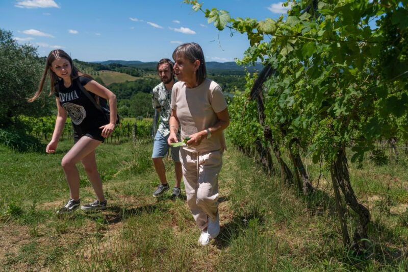 siena-organic-winery-tour-and-wine-tasting