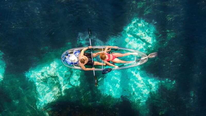 silver-springs-clear-kayak-wildlife-tour