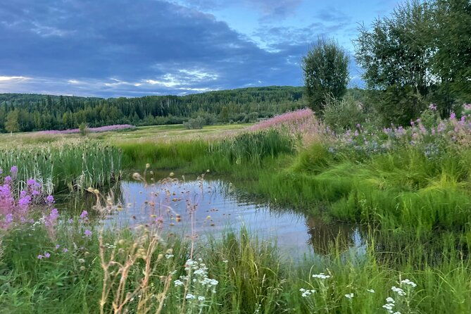small-group-18-hole-golf-experience-in-fairbanks