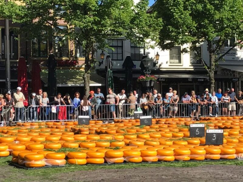 small-group-alkmaar-cheese-market-and-city-tour-english