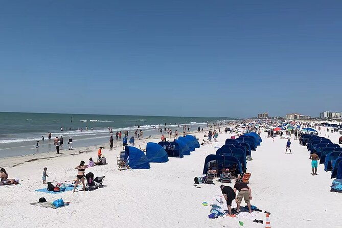 small-group-clearwater-beachdolphin-watch-day-tour-from-orlando