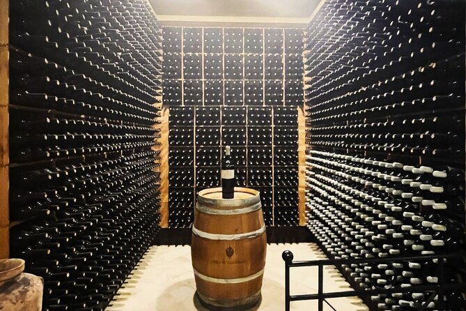 small-group-wine-tasting-experience-from-palermo