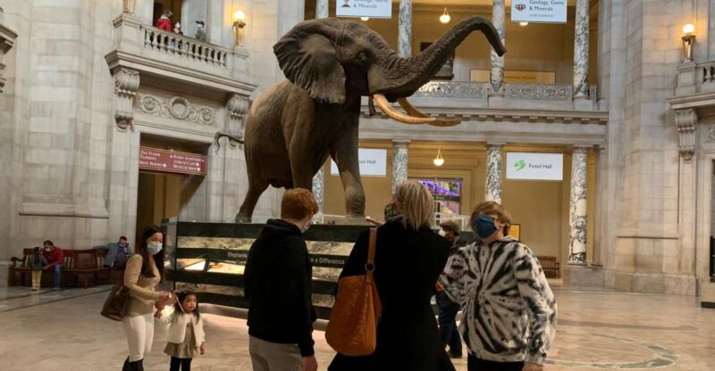 smithsonian-national-museum-of-natural-history-guided-tour