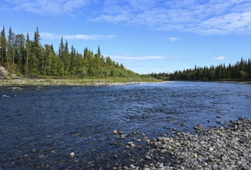 snake-river-full-day-group-fishing-trip