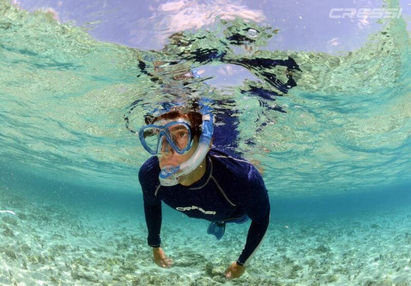 snorkel-tour-why-not