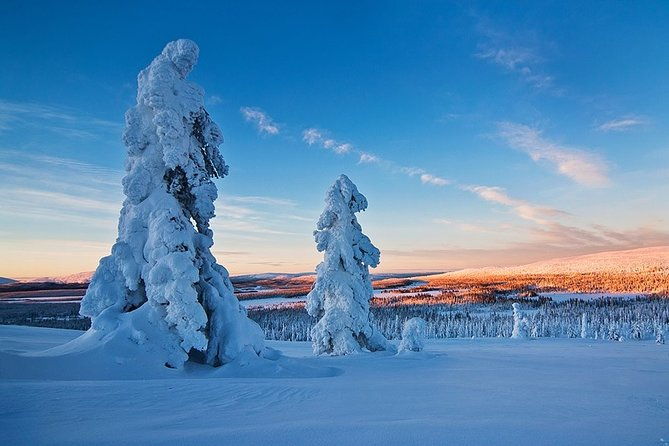 snowmobile-driving-morning-start