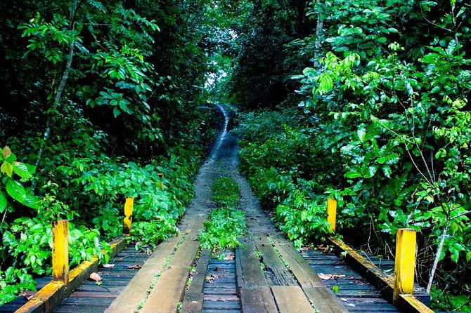 soberania-national-park-day-trip-from-panama-city