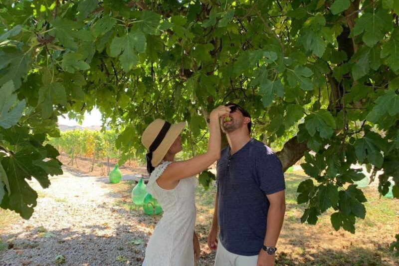 sorrento-family-farm-experience-with-lunch