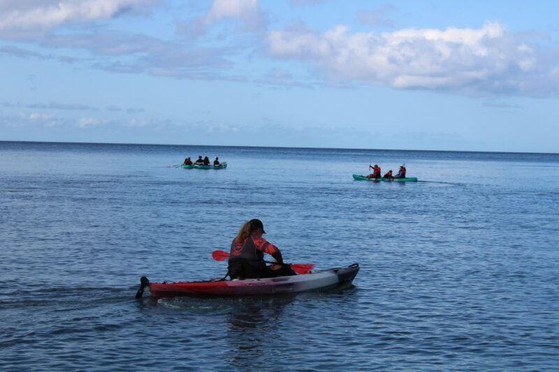 south-maui-auau-channel-kayak-and-snorkel-adventure