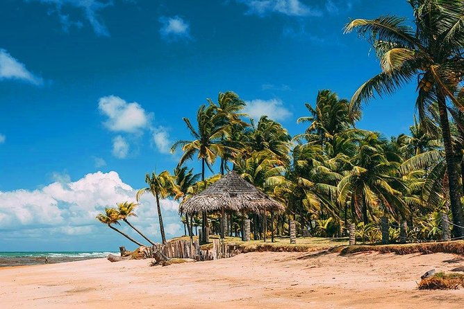 south-of-bahia-tour-private-multi-day-tour