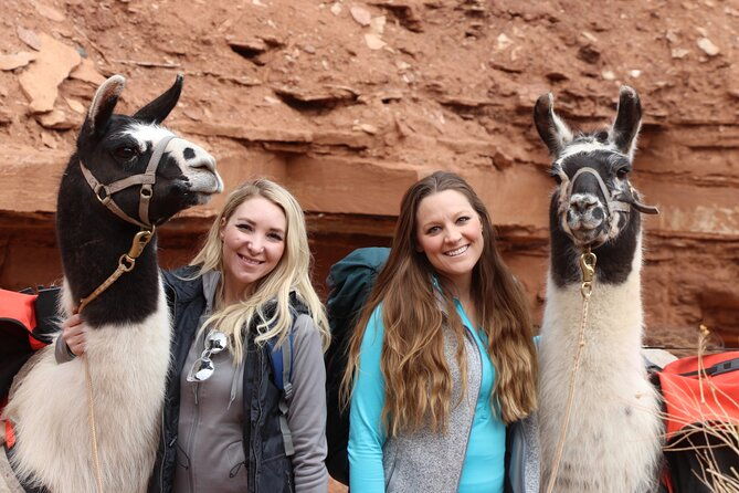 spectacular-8-hour-guided-llama-hike-with-lunch-and-dinner