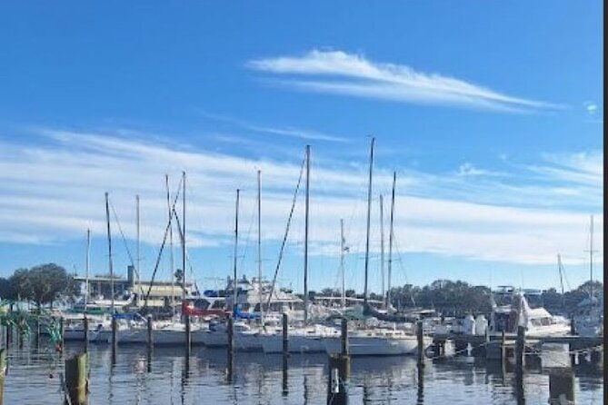 st-pete-sip-dine-a-walking-culinary-tour-age-21