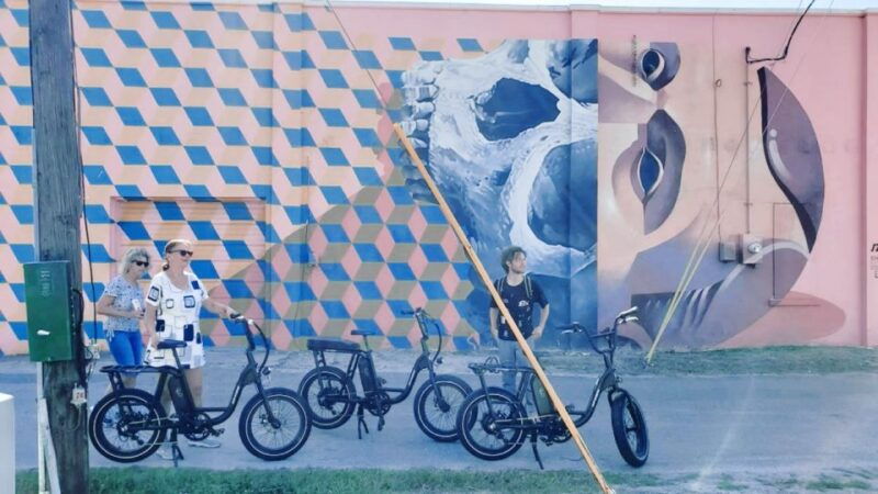 st-petersburg-fl-sightseeing-murals-electric-bike-tour