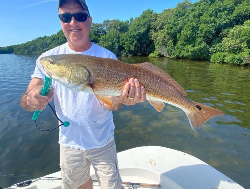 st-petersburg-fl-tampa-bay-private-inshore-fishing-trip