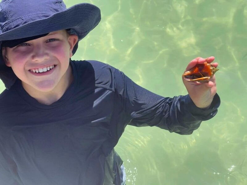 st-petersburg-florida-private-4-hour-beach-tour