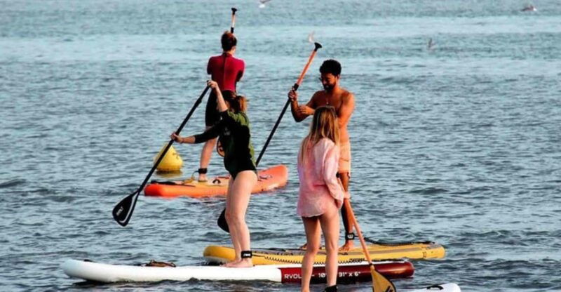 stand-up-paddle-and-shopping-cap3000