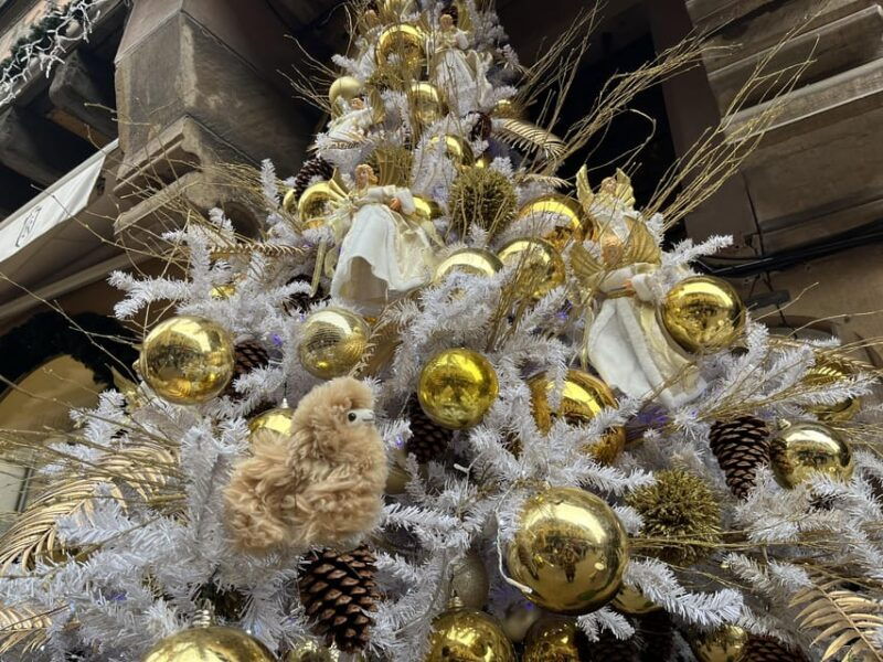 strasbourg-christmas-walking-tour-with-mulled-wine