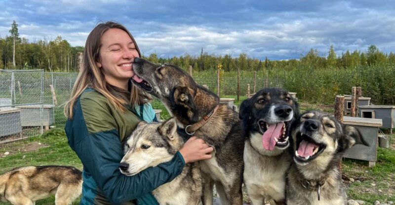 summer-sled-dog-kennel-tour