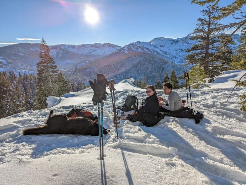 tahoe-city-beginner-and-family-friendly-snowshoe-tour