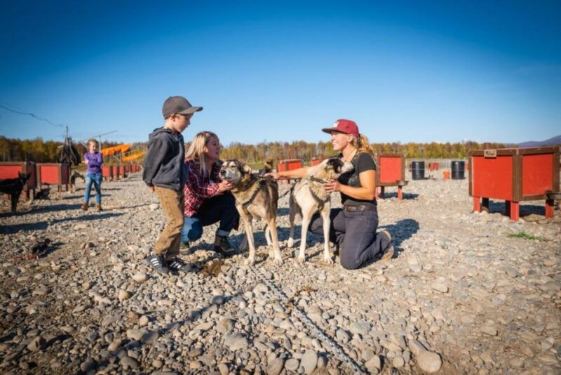 talkeetna-mushing-experience-with-iditarod-champion-dogs