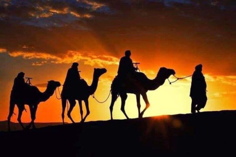 tangier-day-trip-from-tarifa-with-camel-ride-lunch