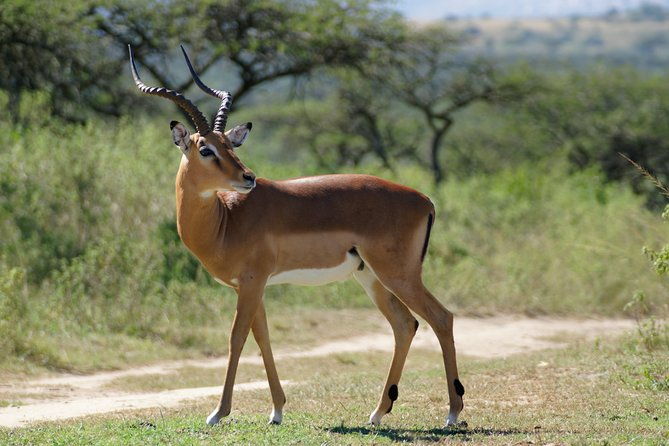 tanzania-safari-1-day-arusha-national-park-visit