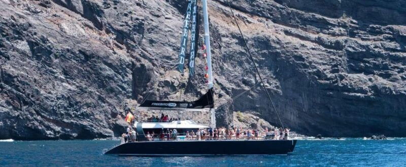 tenerife-catamaran-cruise-with-an-open-bar