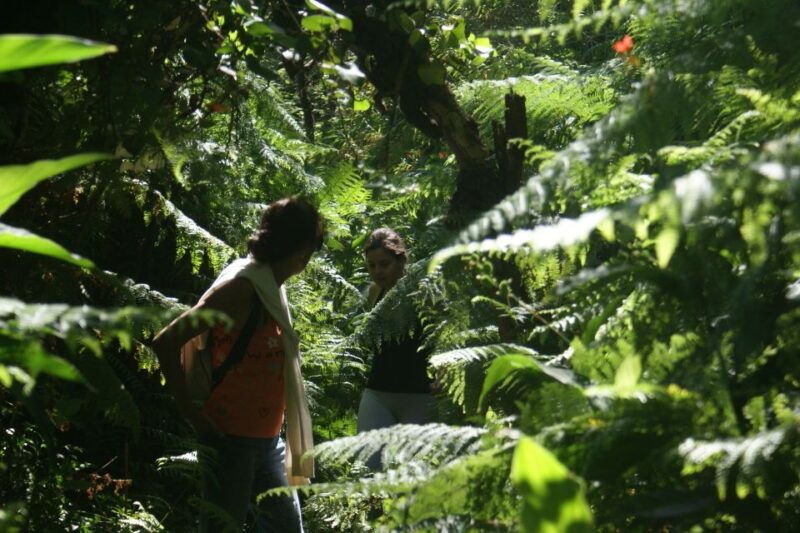 terceira-island-whale-watching-and-jeep-tour