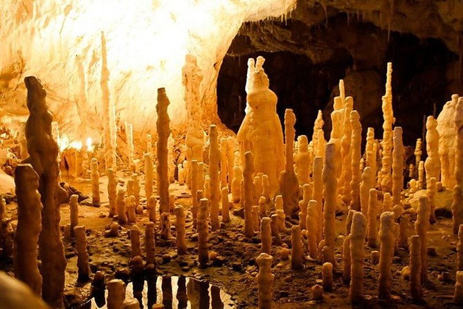 the-bears-cave-one-day-air-conditioned-car-tour-from-oradea