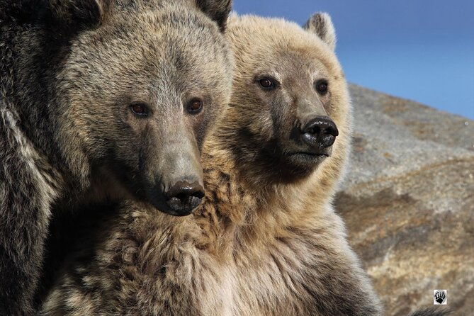 the-full-two-day-private-yellowstone-day-trips-west-yellowstone