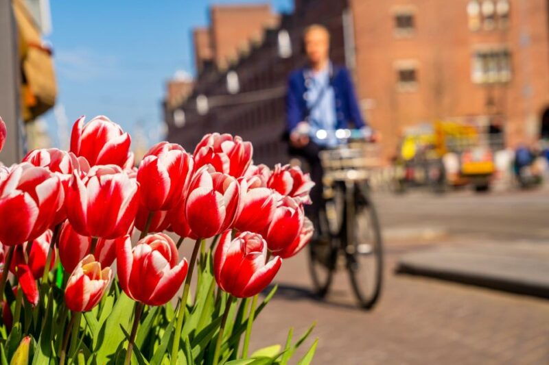 the-hague-express-walk-with-a-local-in-60-minutes
