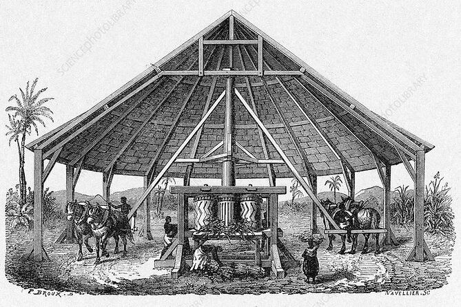 the-history-of-slavery-in-louisiana-tour