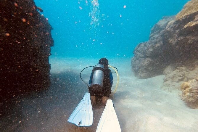 the-original-tiger-shark-challenge