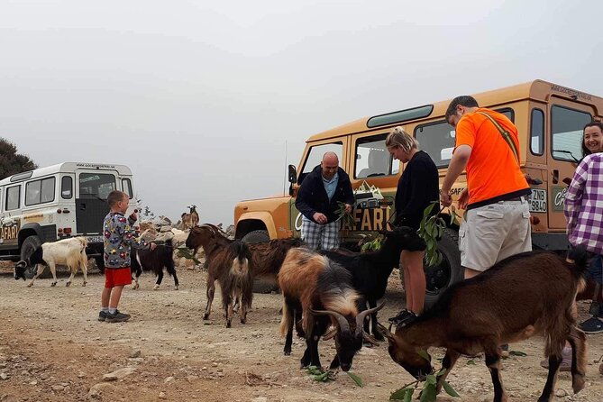 the-roads-of-wine-olive-oil-and-cretan-tradition-in-malia