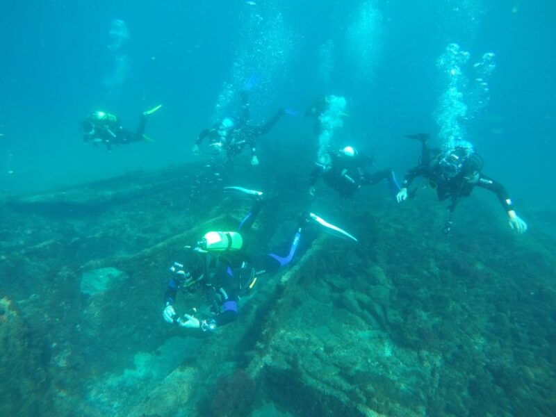 third-angra-do-heroismo-scuba-diving-tour-with-2-dives