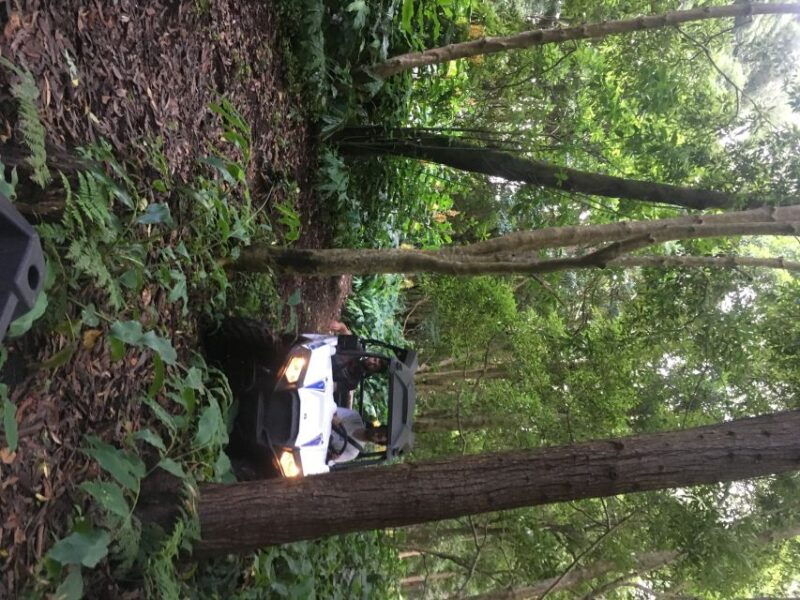third-buggy-tour-4x4-west-side-azores-retreat