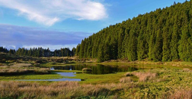 third-island-black-mysteries-hiking