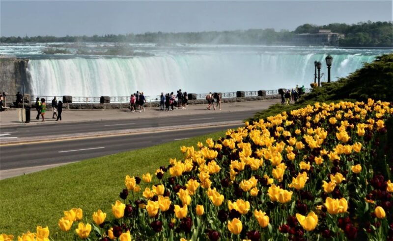 toronto-small-group-niagara-falls-day-trip