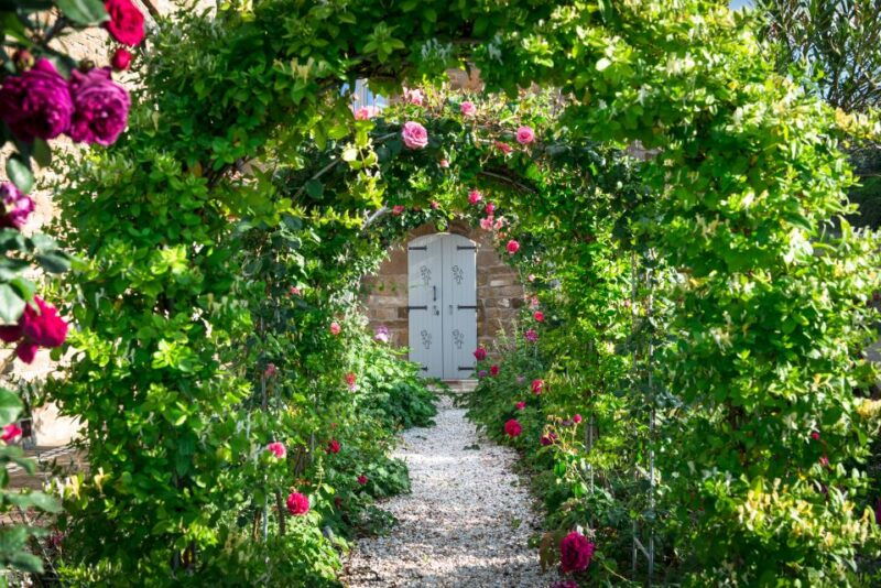 total-immersion-wine-tour-in-chianti
