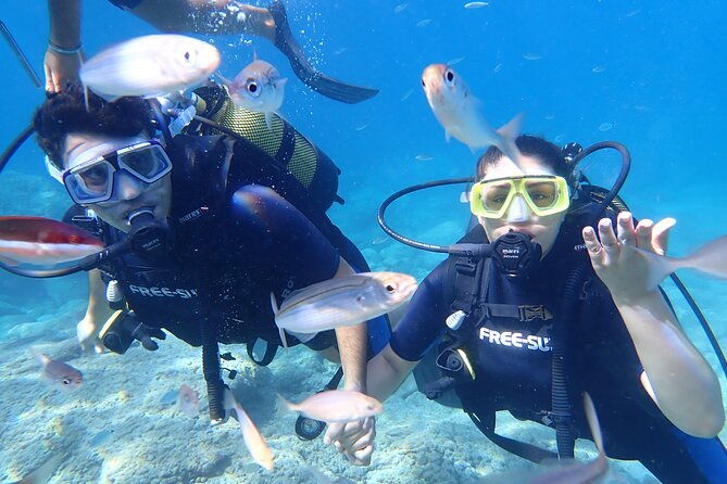 tour-in-alanya-with-lunch-and-guided-scuba-dives-from-side