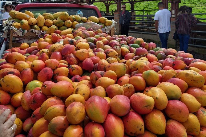 tour-medellin-market